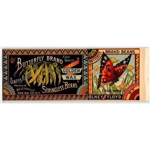 Butterfly Brand Golden Wax Beans Victorian 1890's Food Can Label Lithograph Art